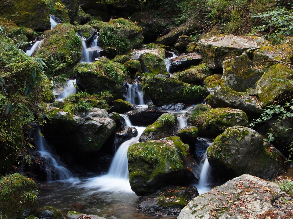 Lanskap air hutan rock