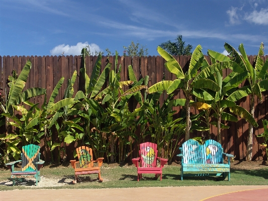 Beach fence flower jungle Photo