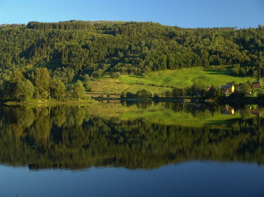 Landscape tree water nature Photo