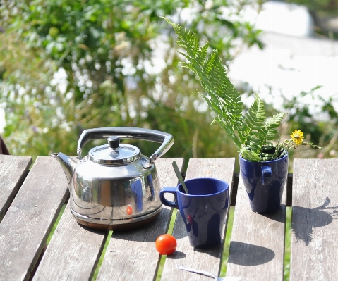 Nature teapot camping breakfast Photo