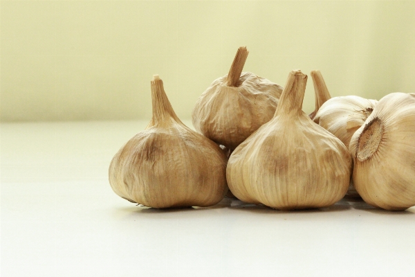 Plant food garlic produce Photo