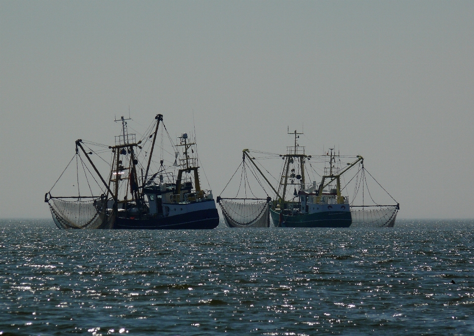 Mar costa agua océano