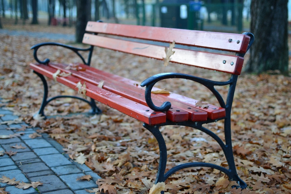 Table wood bench cart