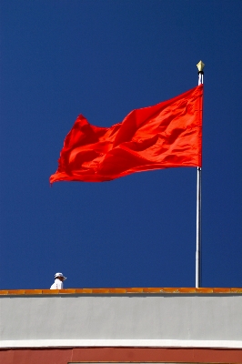 Red flag flagpole illustration Photo