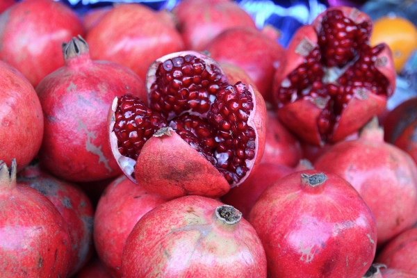 Apple 植物 フルーツ 食べ物 写真