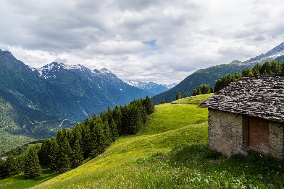 Landschaft natur wildnis
 gehen