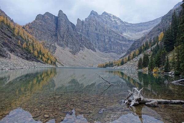 Foto Acqua natura foresta selvaggia
