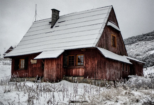 Foto Paesaggio natura nevicare freddo