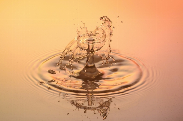 Wasser tropfen flüssig glas Foto