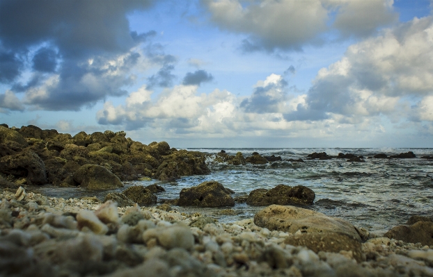 Beach landscape sea coast Photo