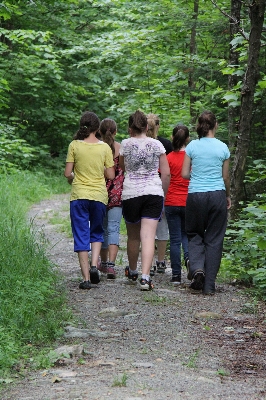 Forest walking people hiking Photo