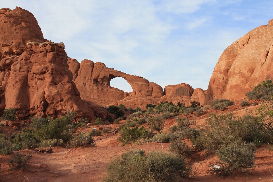 Paesaggio rock natura selvaggia
 deserto