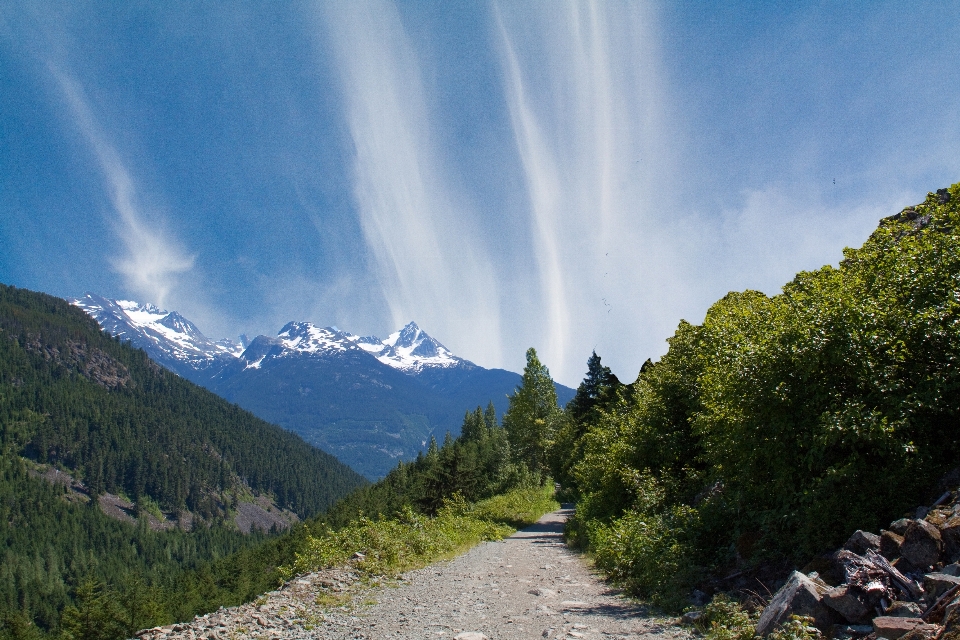 Landscape nature path outdoor