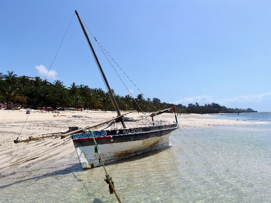 Beach sea coast water Photo