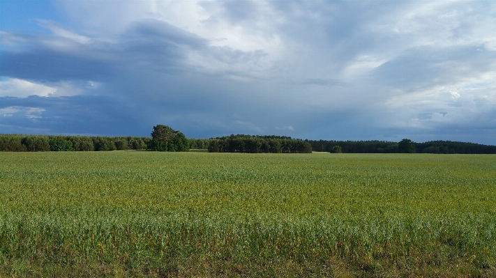 Landscape nature grass horizon Photo