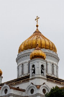 Architecture building golden tower Photo