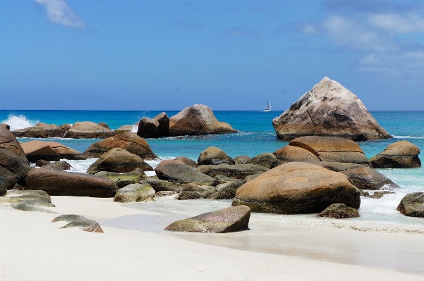 Beach sea coast water Photo