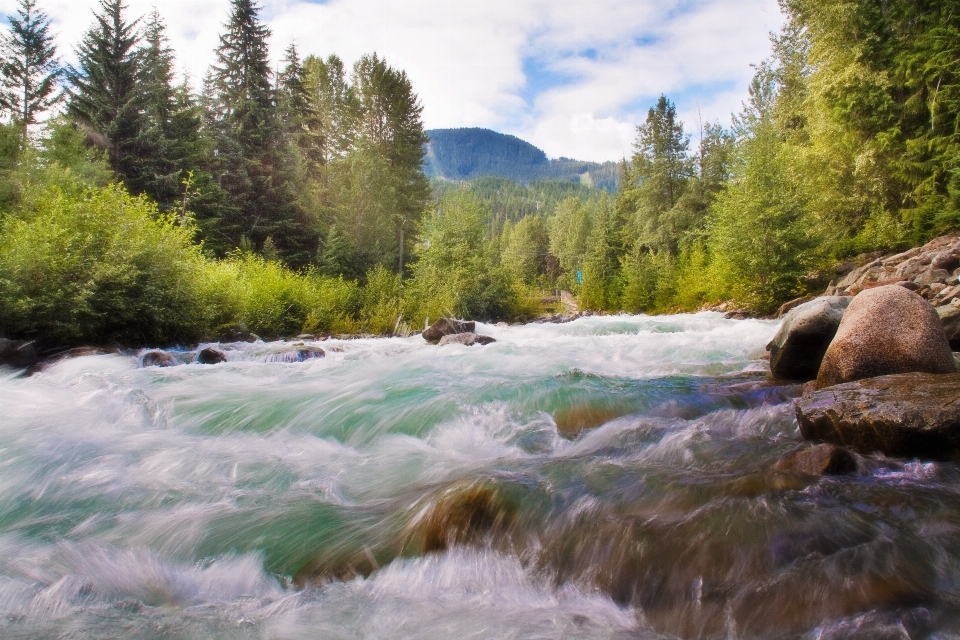 風景 水 自然 滝