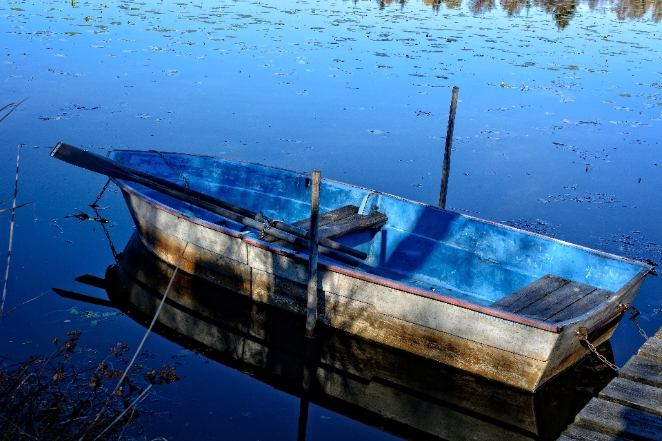 море вода природа океан