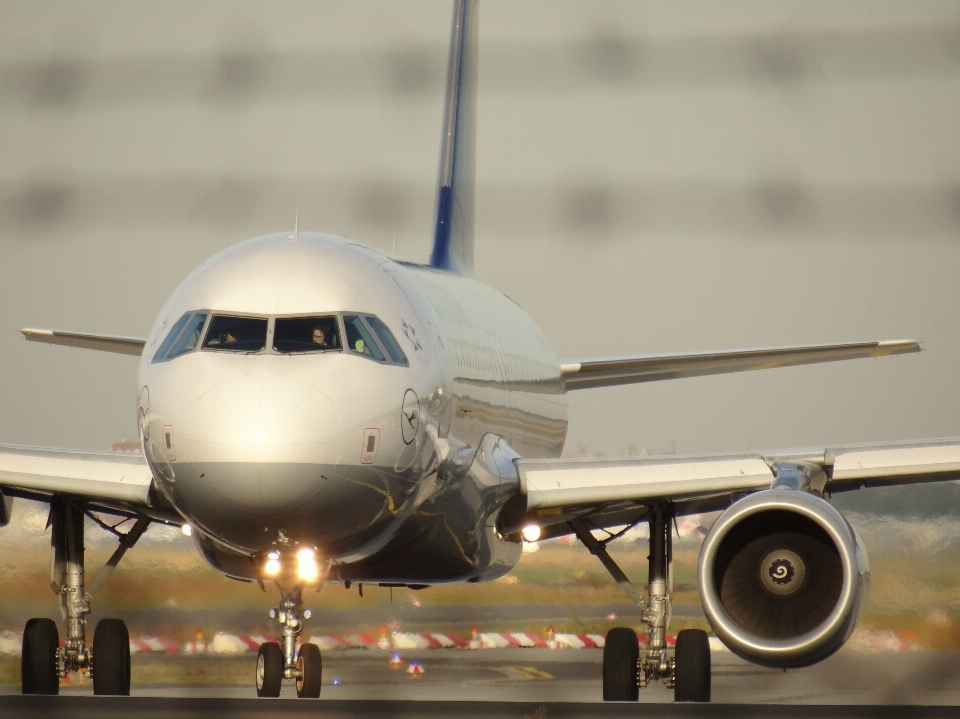 飞机 停机坪 车辆 航空公司