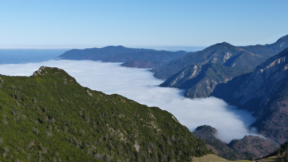 Gurun
 sedang berjalan gunung kabut