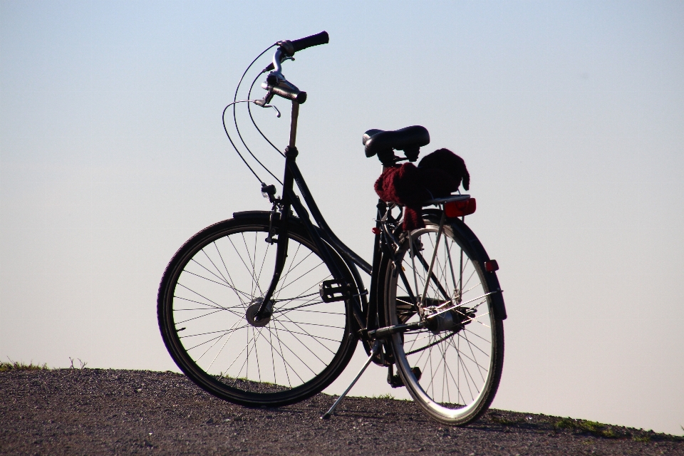 Ruota bicicletta veicolo tempo libero