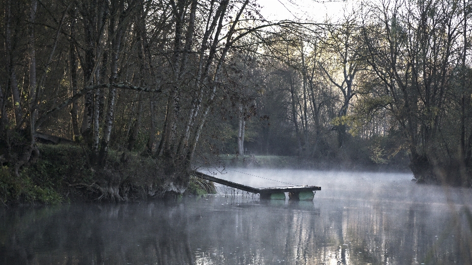 Paisagem árvore água natureza