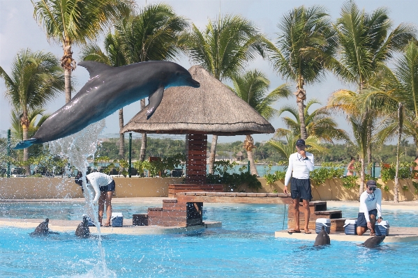 Foto Laut air liburan kolam renang
