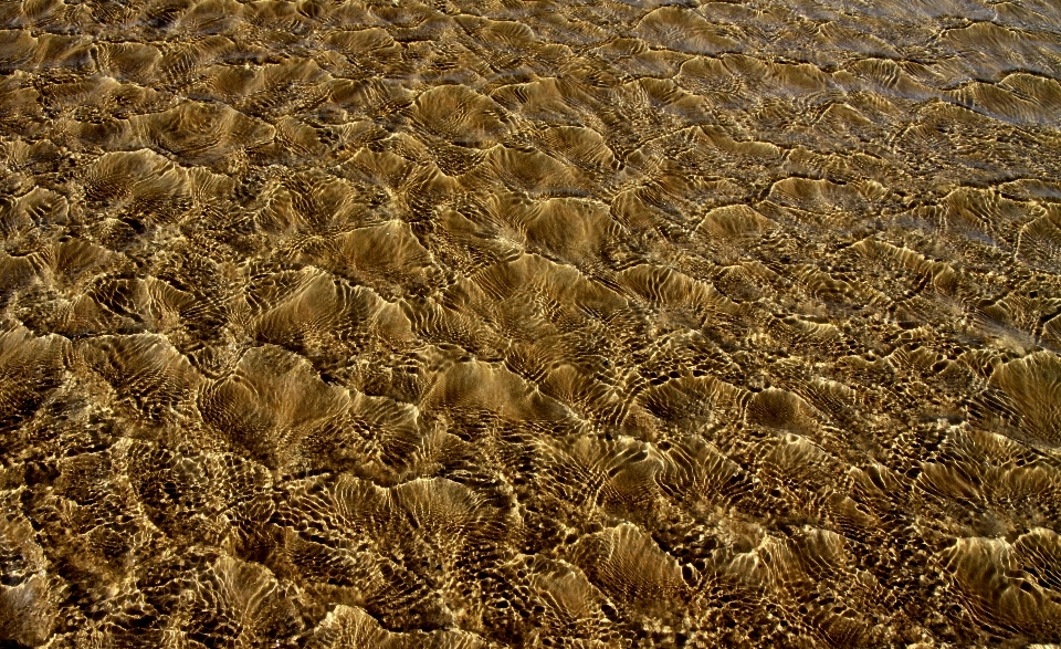 Beach landscape sea coast