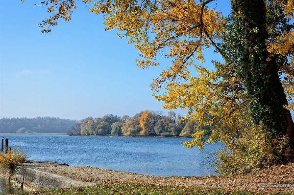 Landscape tree water nature Photo