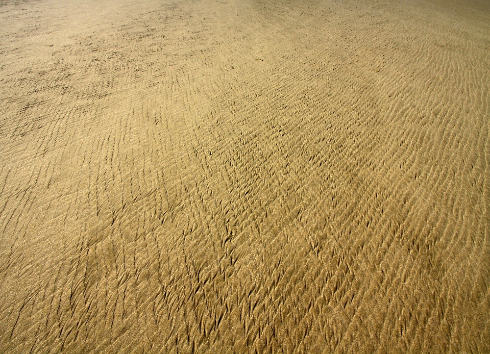 Beach landscape sea coast