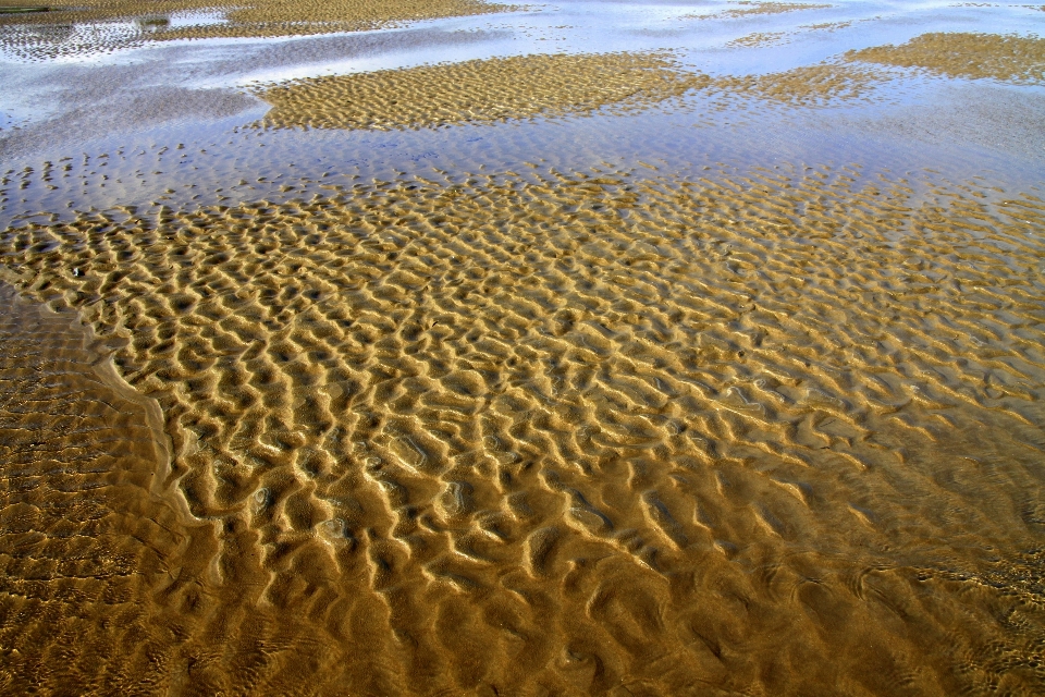 Beach landscape sea coast