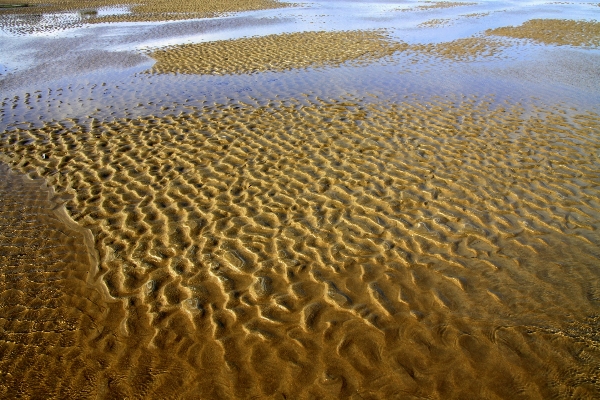 Beach landscape sea coast Photo