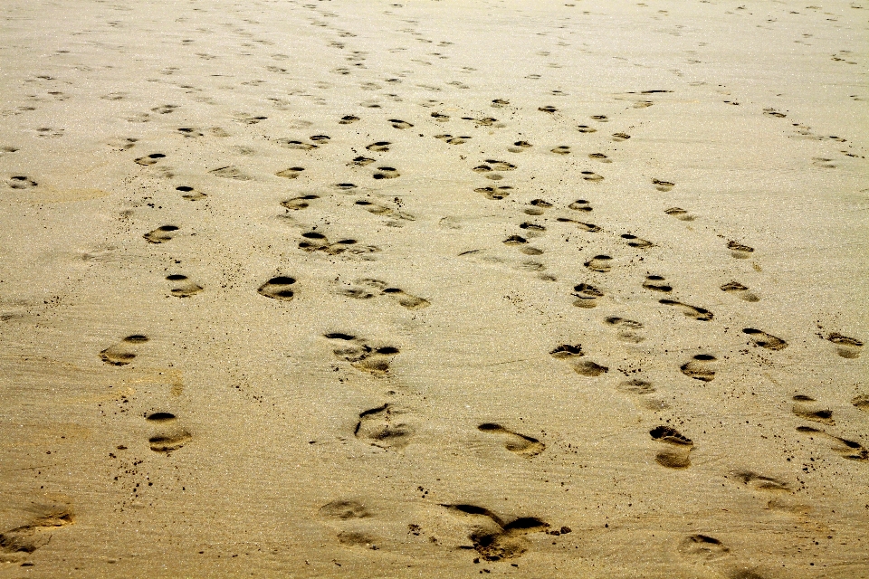 해변 풍경 바다 해안