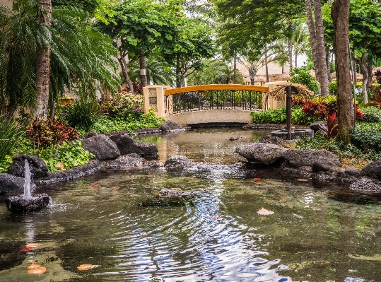 Landscape water outdoor bridge Photo