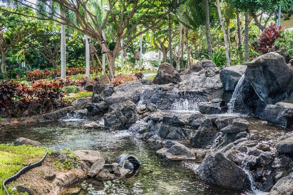 風景 水 自然 アウトドア 写真