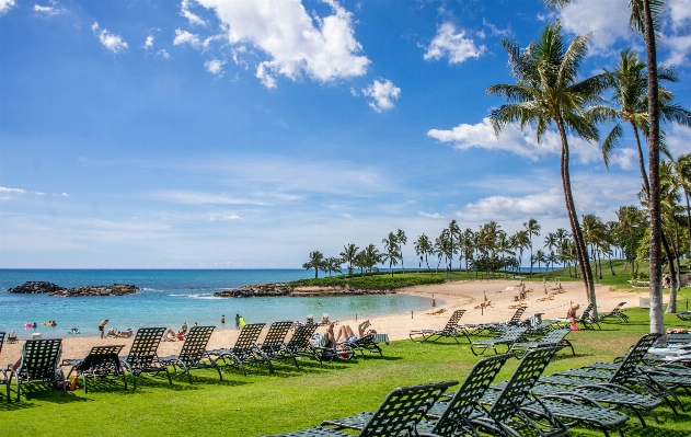 Beach landscape sea coast Photo