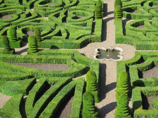 風景 草 植物 分野 写真