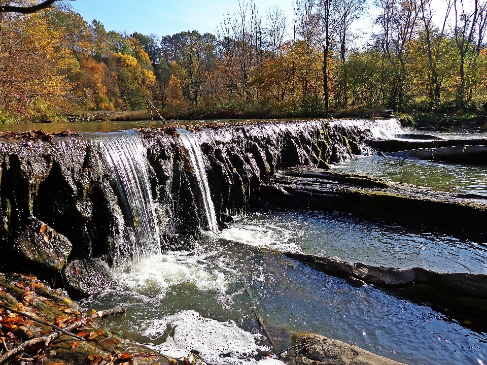 風景 木 水 自然