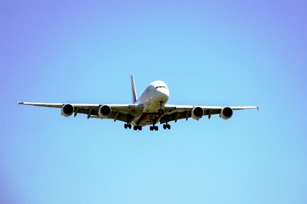 Wing sky travel airplane Photo