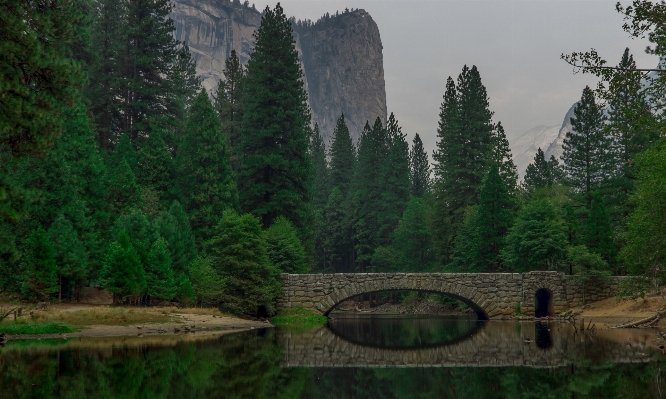 Landscape tree water nature Photo