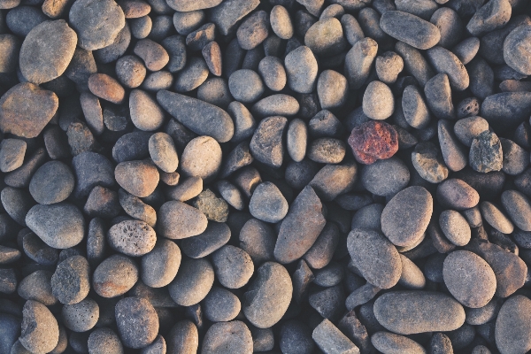 Rock wood ground texture Photo