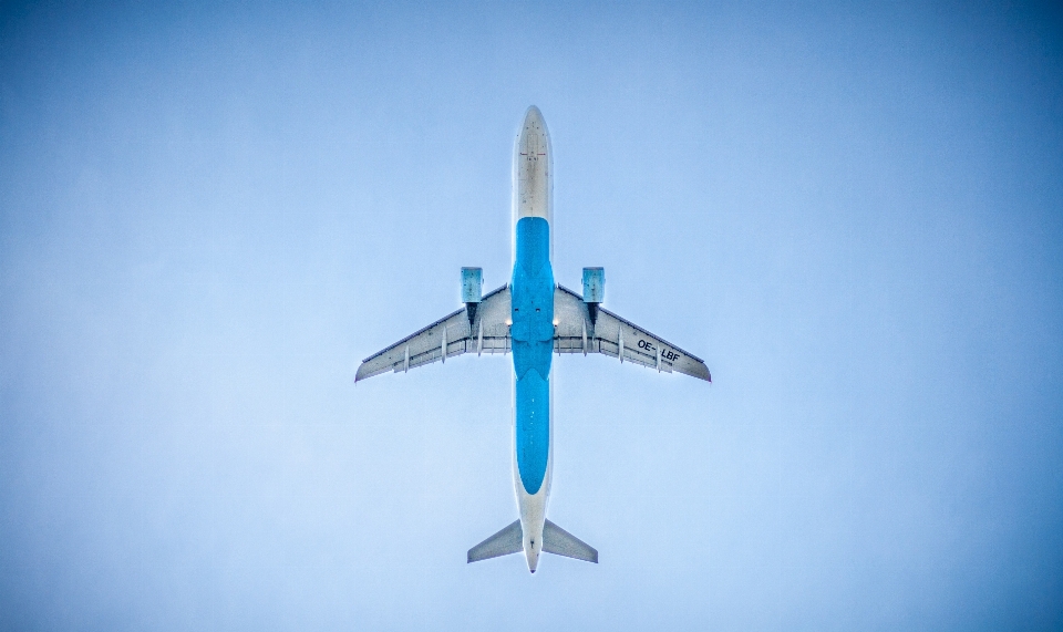 羽 空気 空港 休暇