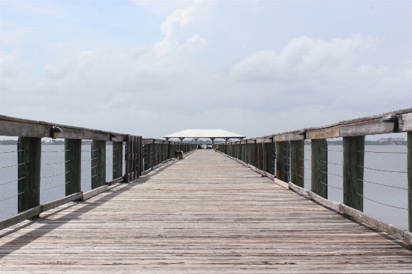 Beach sea coast ocean Photo