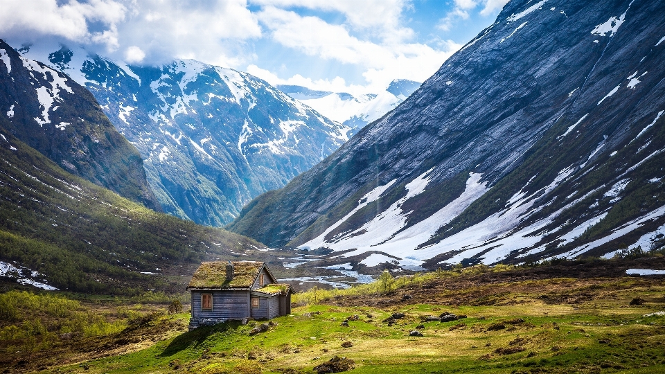 Landscape nature grass wilderness