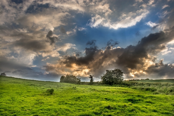 Landscape sea tree nature Photo