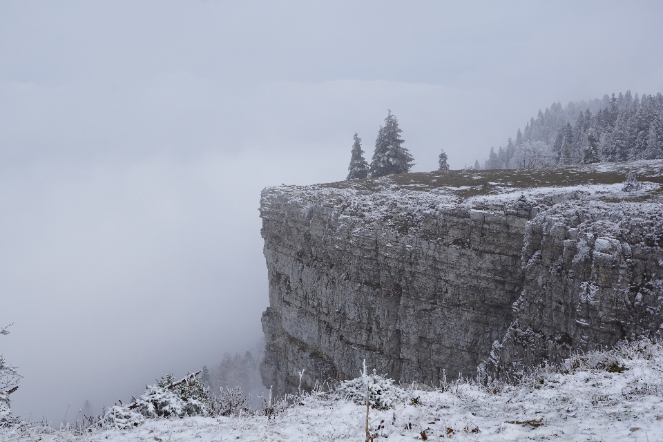 Montagna nevicare inverno nebbia