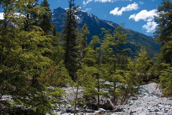 Foto Paisaje árbol agua naturaleza