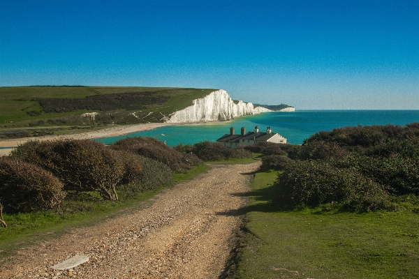 Beach sea coast ocean Photo