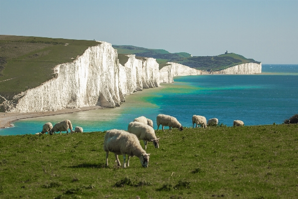 Beach sea coast ocean Photo